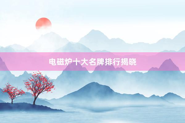 电磁炉十大名牌排行揭晓